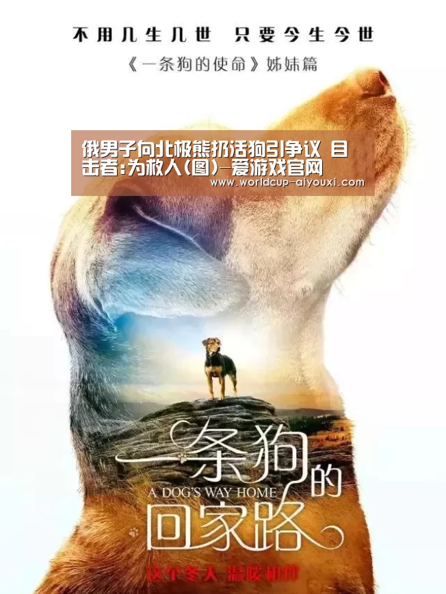 俄男子向北极熊扔活狗引争议 目击者:为救人(图)-爱游戏官网(图2) 爱游戏下载