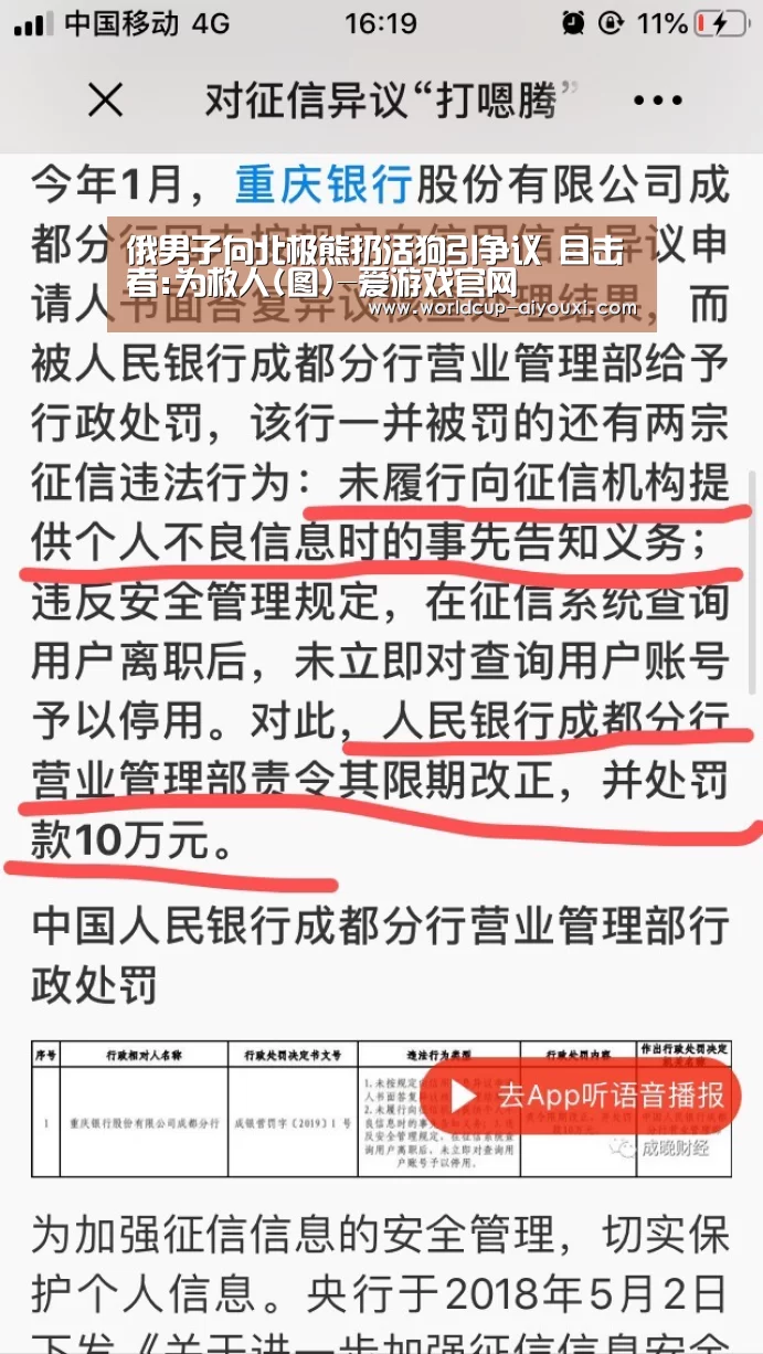 俄男子向北极熊扔活狗引争议 目击者:为救人(图)-爱游戏官网(图4) 爱游戏直播