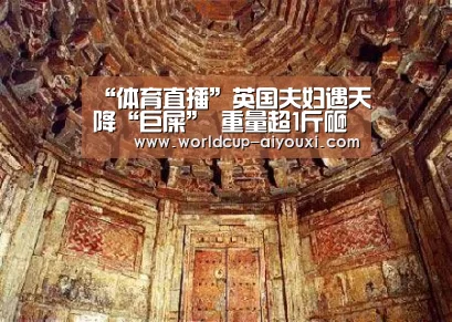 “体育直播”英国夫妇遇天降“巨屎” 重量超1斤砸破屋顶(图1) 体育直播