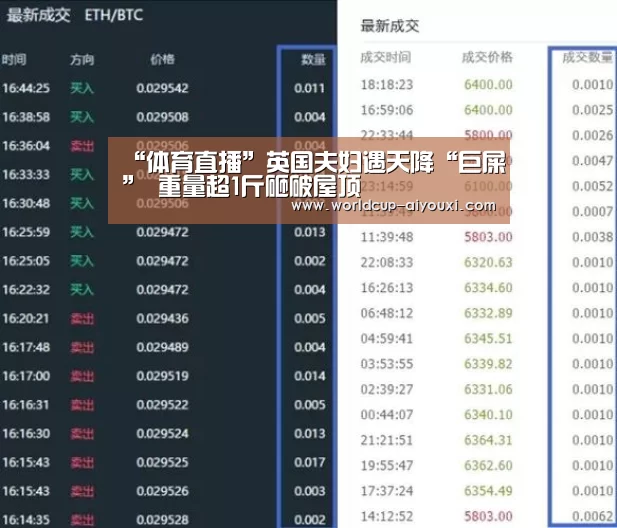“体育直播”英国夫妇遇天降“巨屎” 重量超1斤砸破屋顶(图4) 体育直播