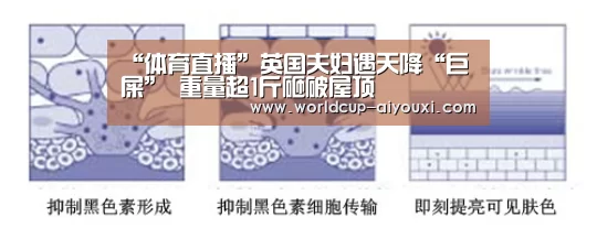 “体育直播”英国夫妇遇天降“巨屎” 重量超1斤砸破屋顶(图3) 爱游戏直播